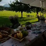 格雷德尔乡村酒店 Kössen