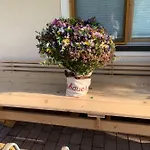 格雷德尔乡村酒店 Kössen