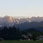 格雷德尔乡村酒店 Kössen