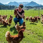 格雷德尔乡村酒店 住宿加早餐酒店 Kössen