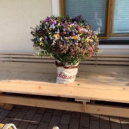 Greiderer Kössen