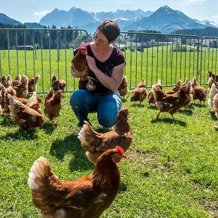 Greiderer Bed and breakfast Kössen